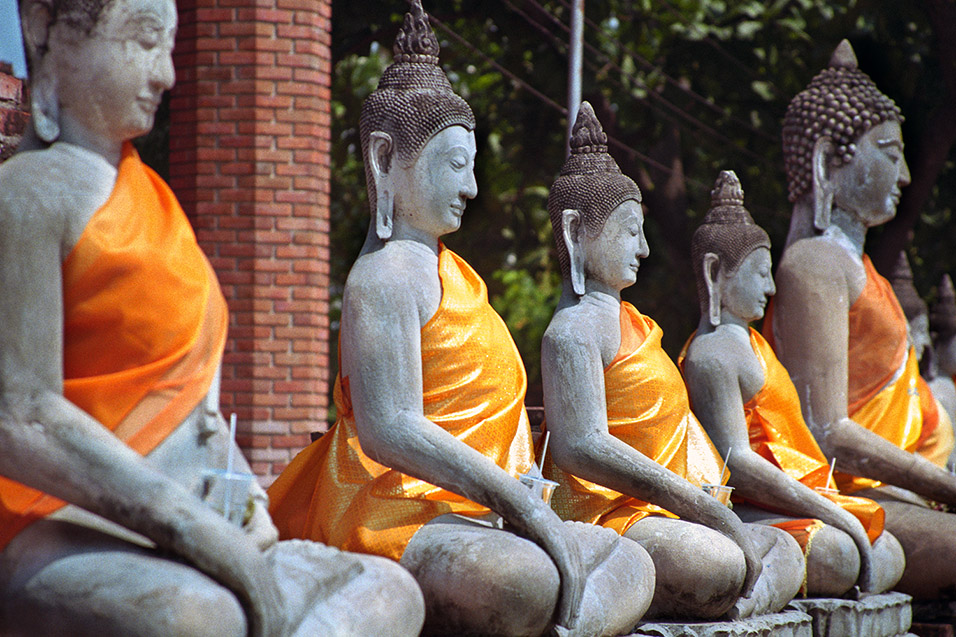 thailand/2004/ayutthaya_white_buddhas_orange_robes