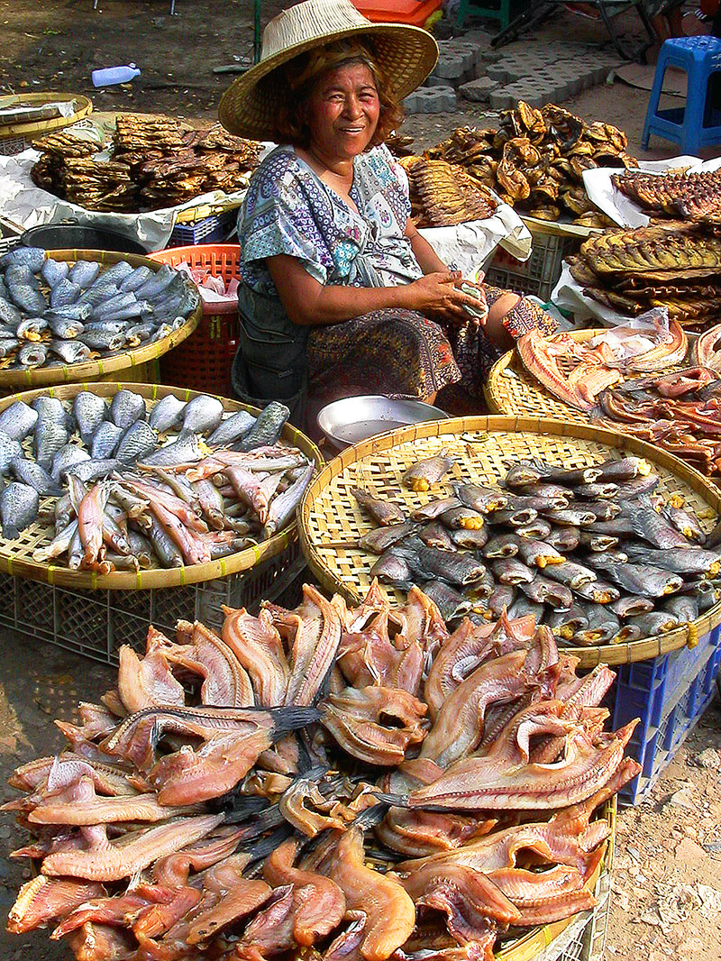 thailand/2004/ayutthaya_woman_selling_dried_fish