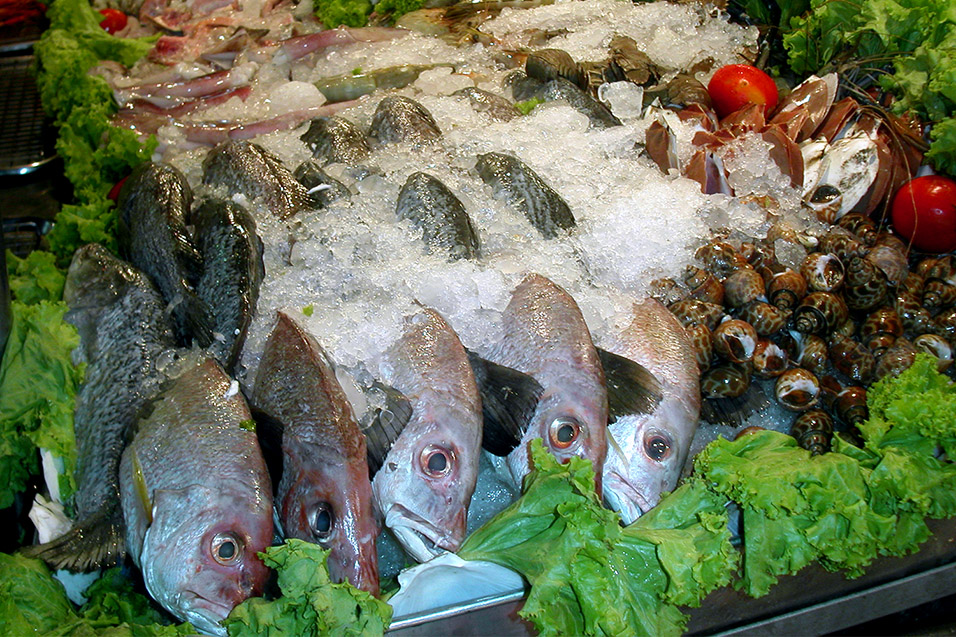 thailand/2004/nakhon_phatom_fish_stall
