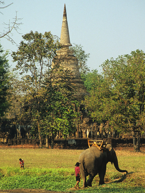 thailand/2004/sukhothai_stupa_elephant