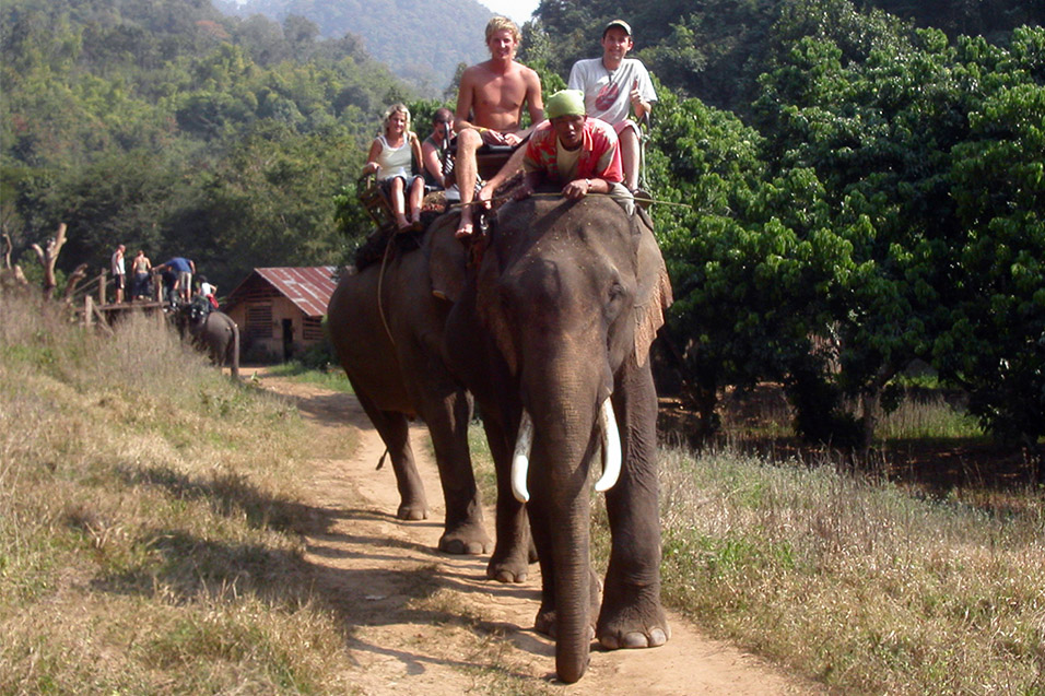 thailand/2004/trek_elephant_brian