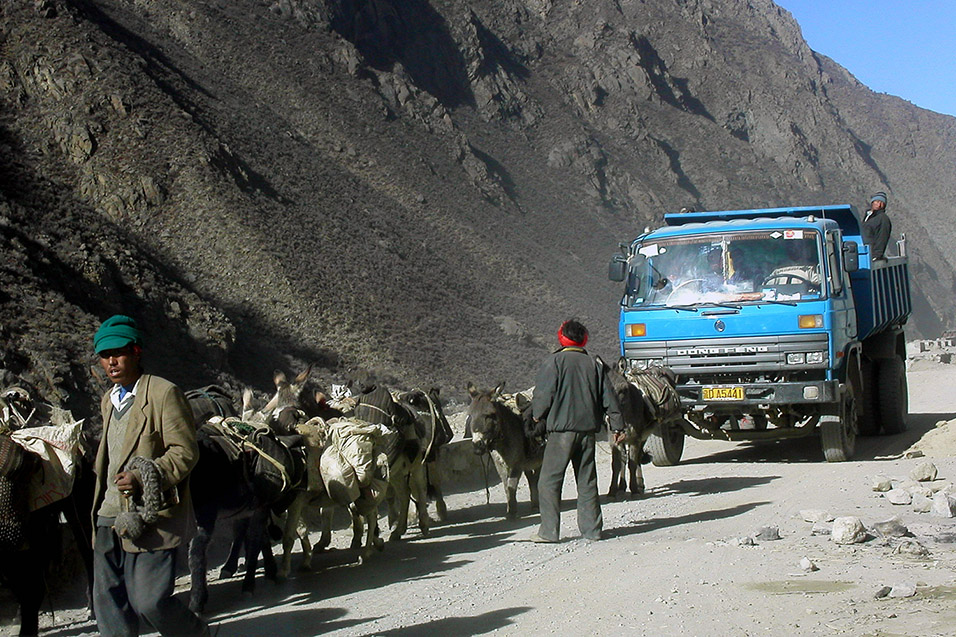 tibet/friendship_donkeys_truck
