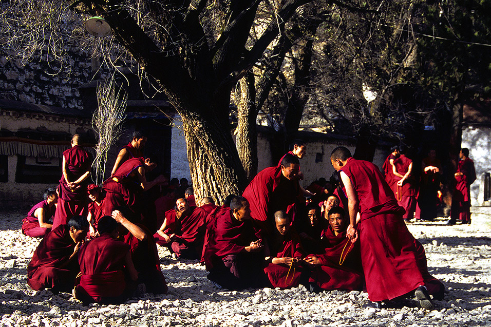 tibet/tibet_monks_debating