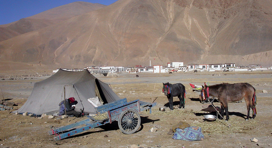 tibet/tibet_nomad