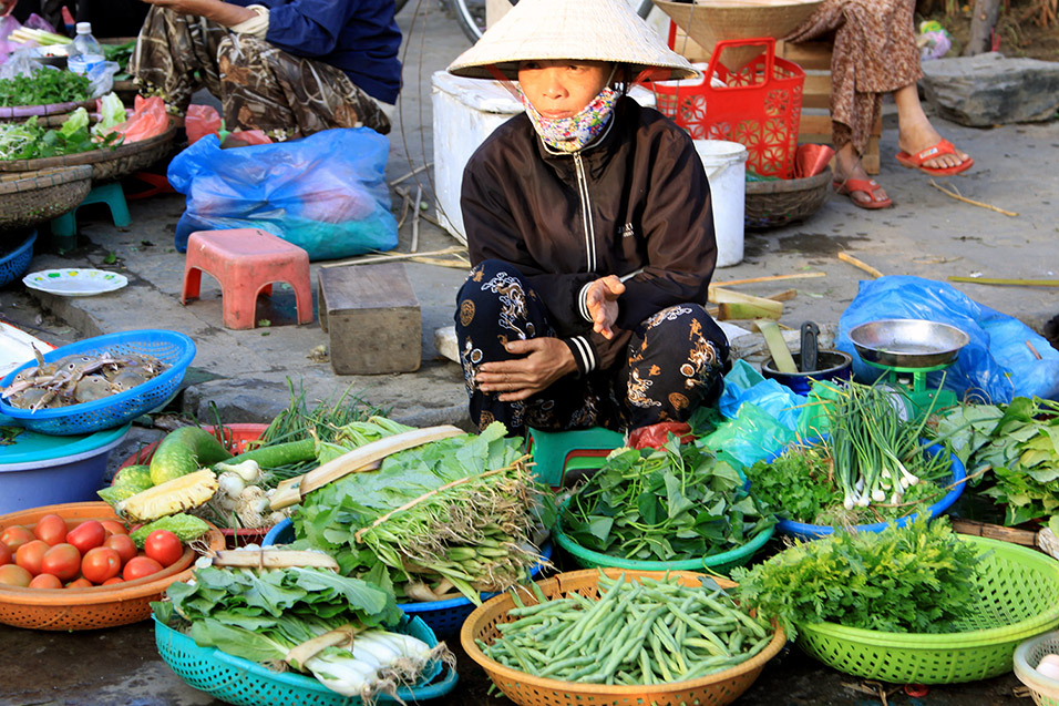 vietnam/2014/hoian_veggie_lady