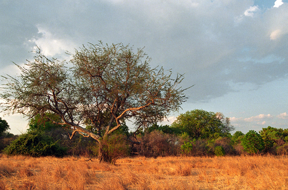 zambia/sl_landscape